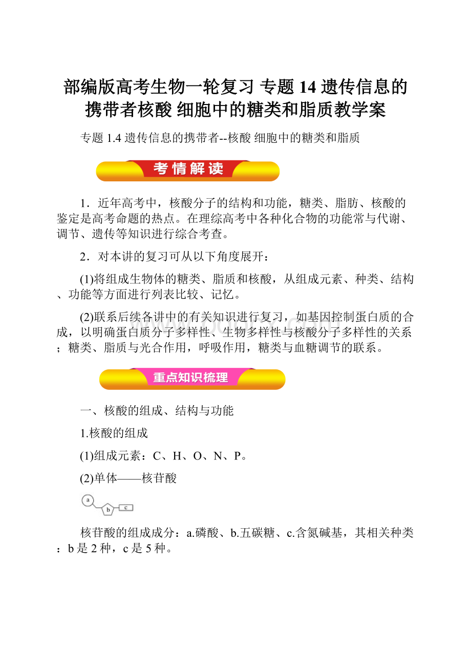 部编版高考生物一轮复习 专题14 遗传信息的携带者核酸 细胞中的糖类和脂质教学案.docx