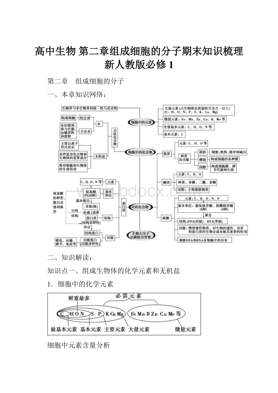 高中生物 第二章组成细胞的分子期末知识梳理 新人教版必修1.docx