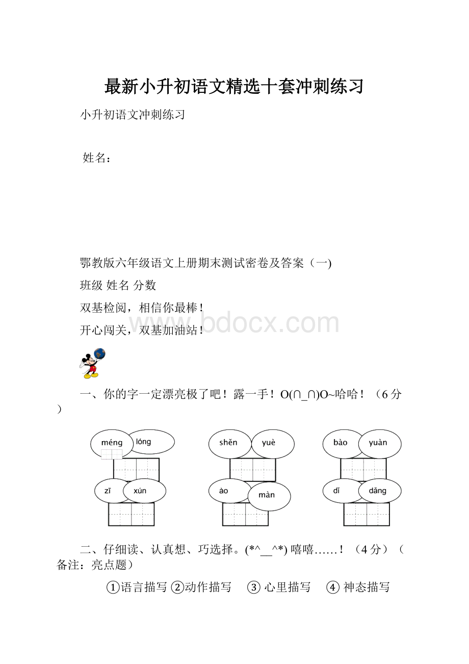 最新小升初语文精选十套冲刺练习.docx