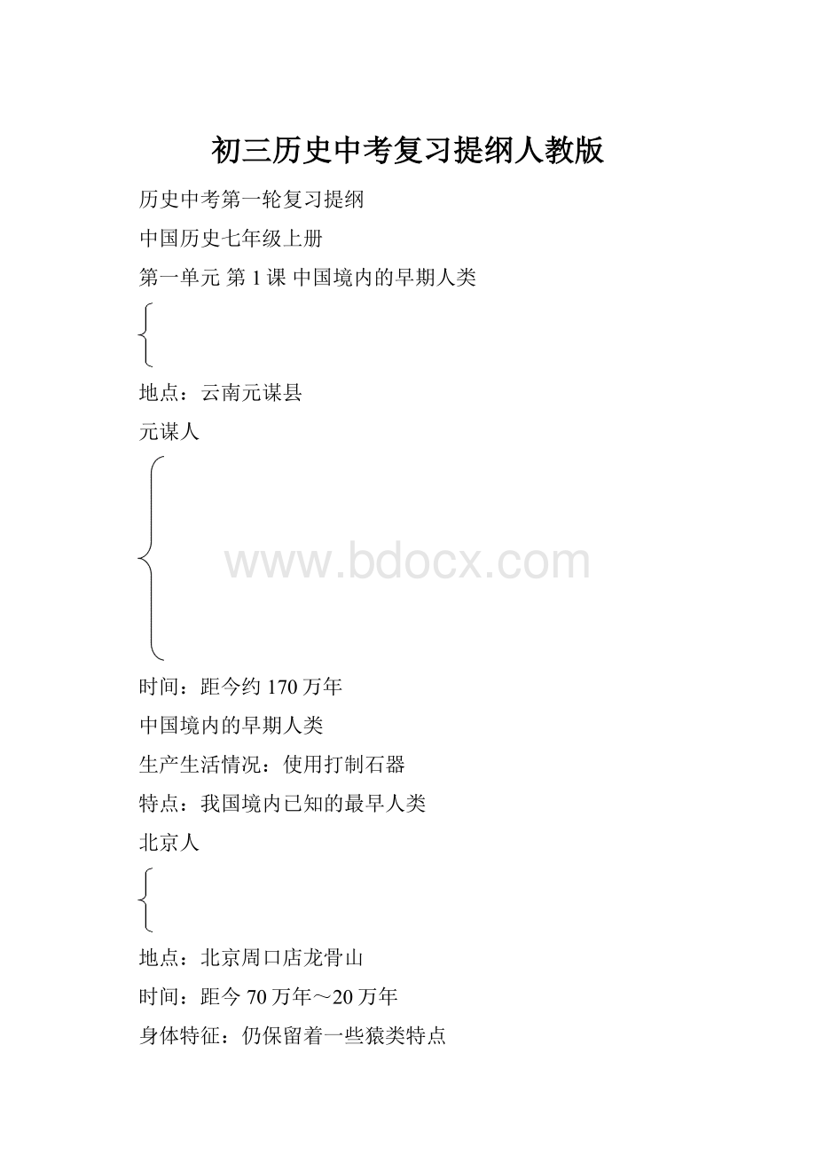 初三历史中考复习提纲人教版.docx