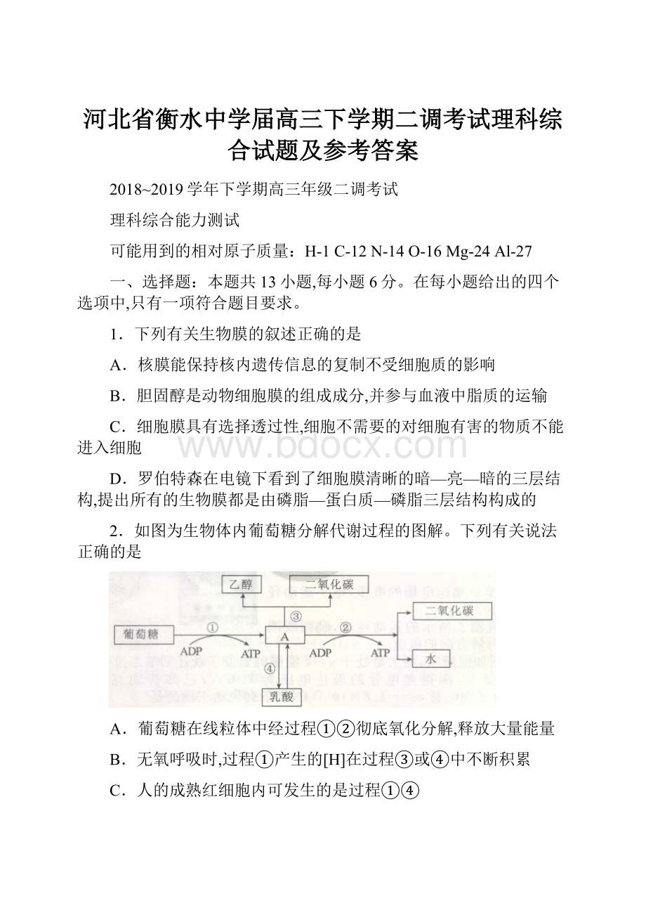 河北省衡水中学届高三下学期二调考试理科综合试题及参考答案.docx