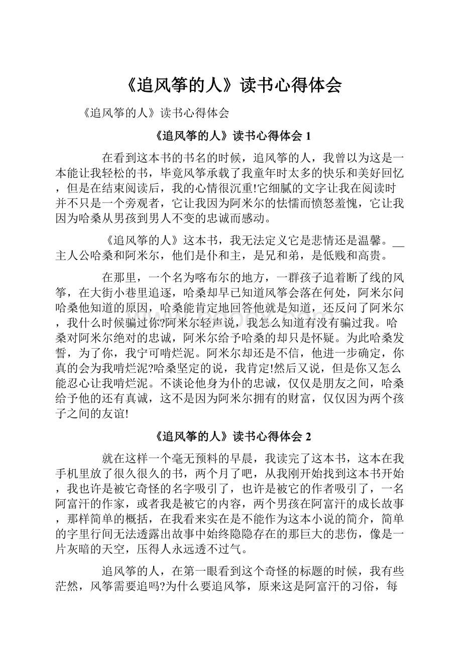 《追风筝的人》读书心得体会.docx_第1页