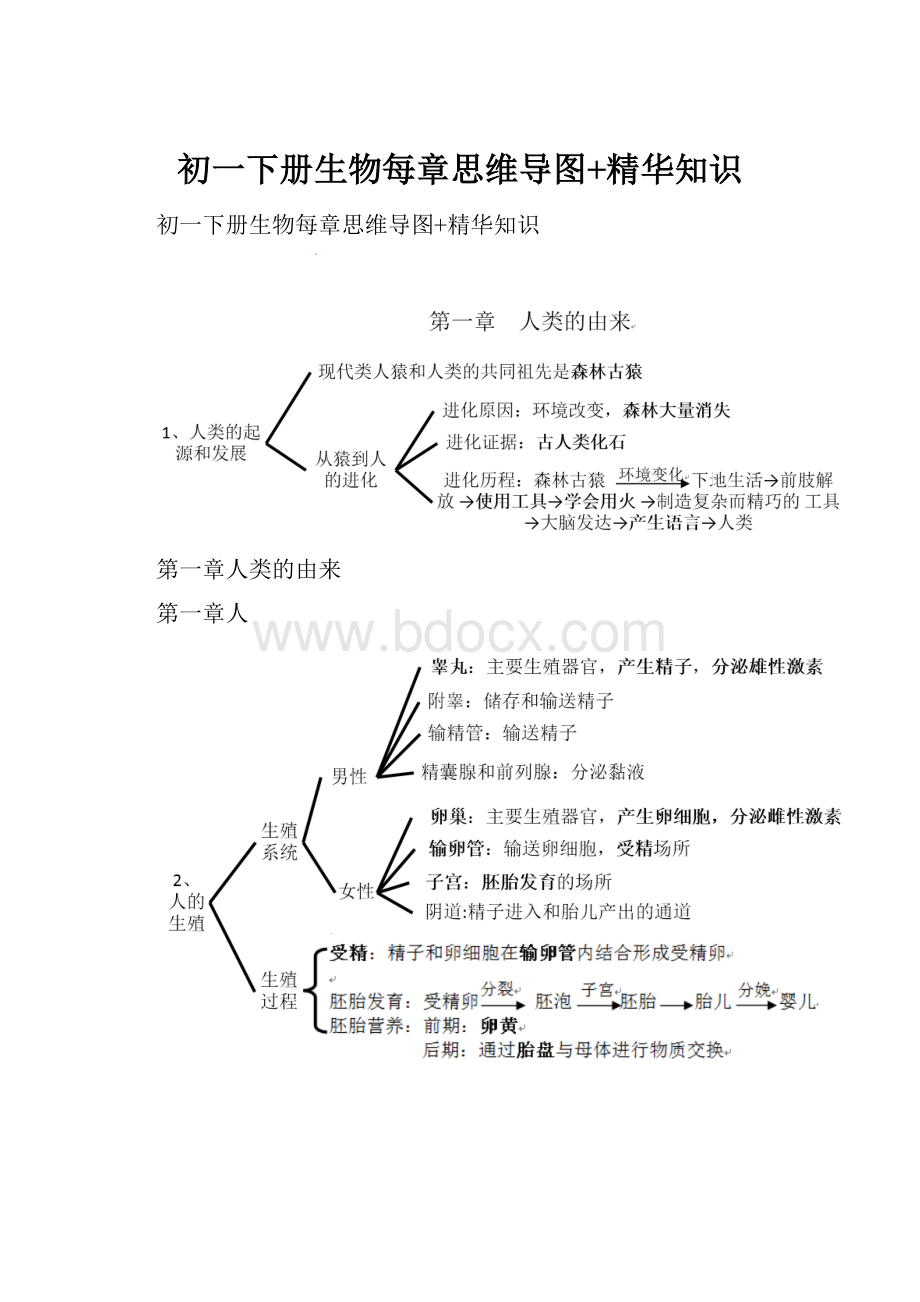 初一下册生物每章思维导图+精华知识.docx