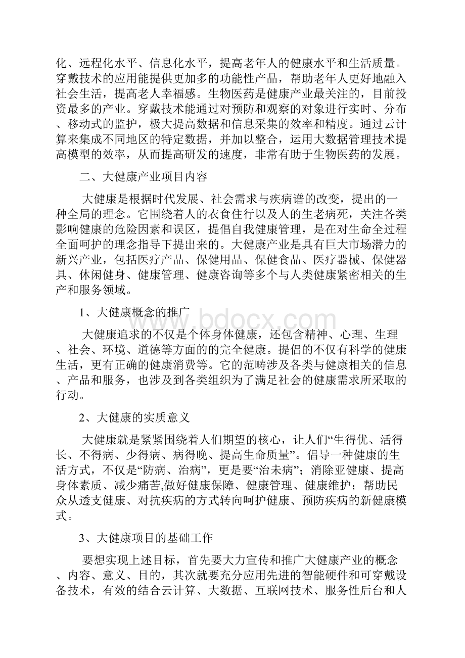 大健康产业项目规划实施简述.docx_第2页