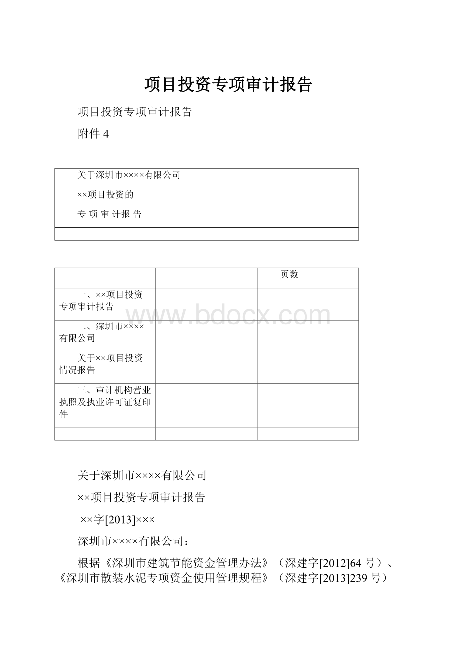 项目投资专项审计报告.docx_第1页