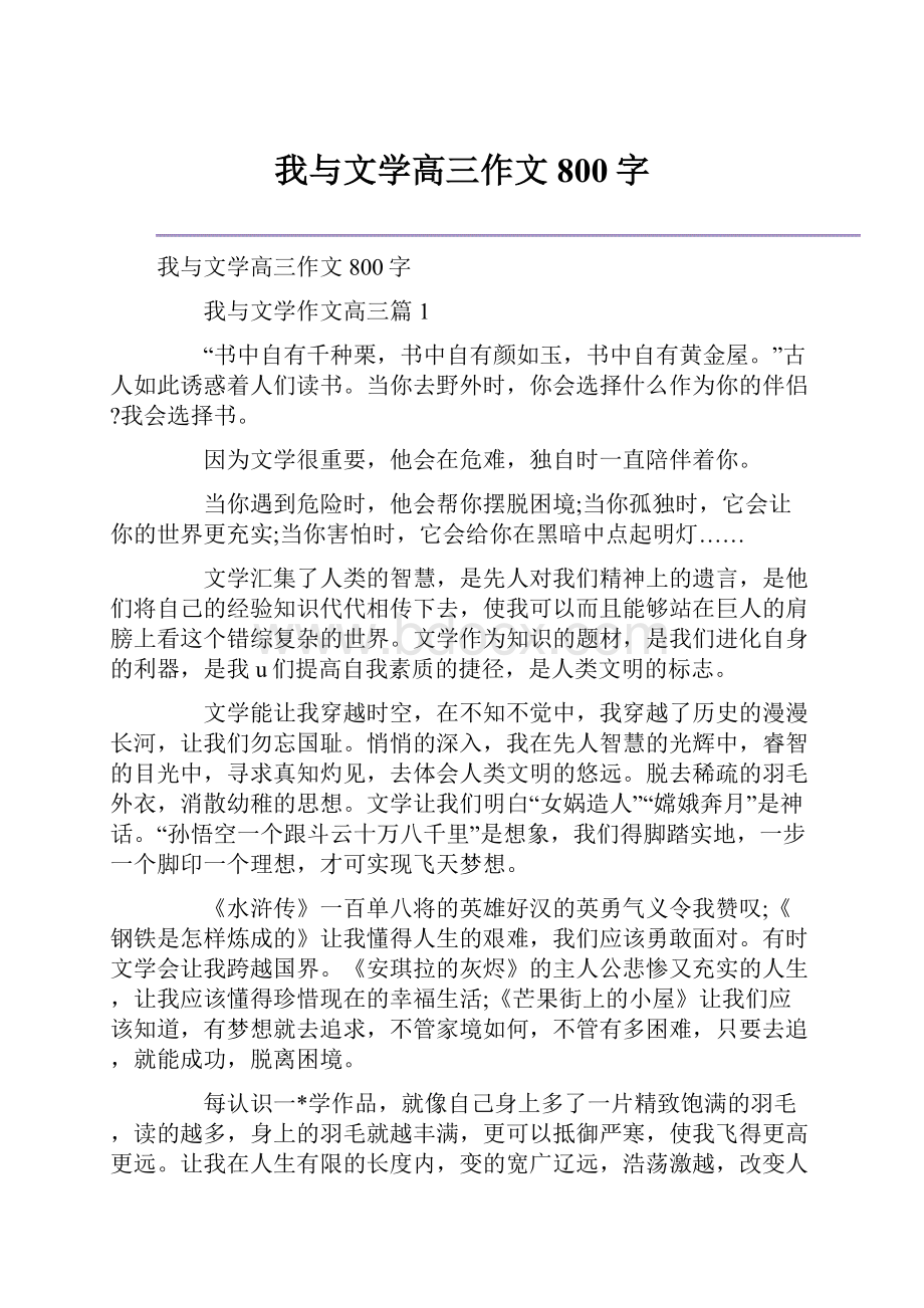 我与文学高三作文800字.docx