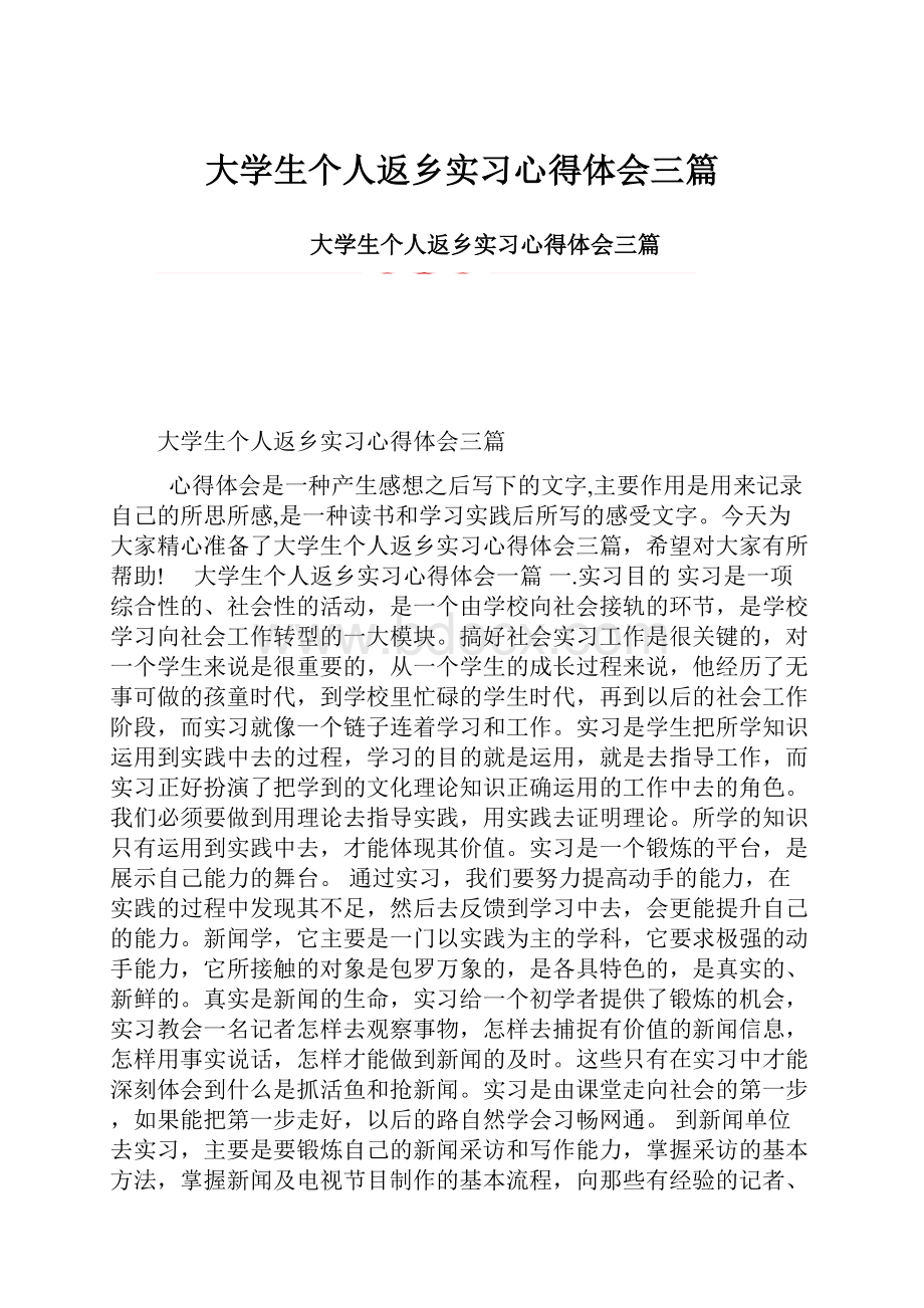 大学生个人返乡实习心得体会三篇.docx