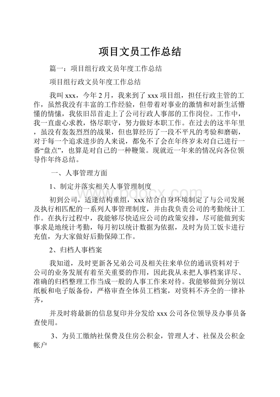 项目文员工作总结.docx_第1页