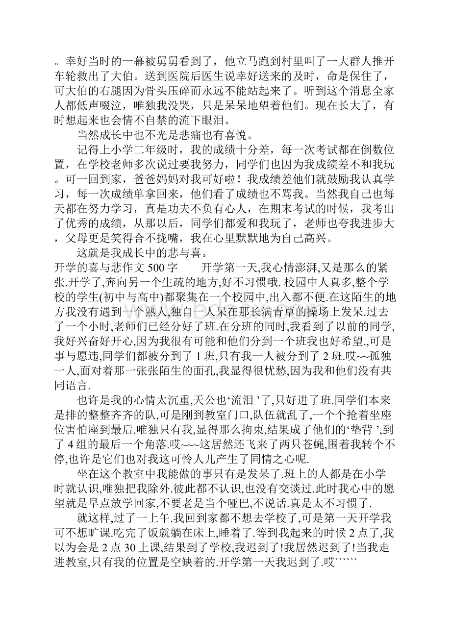 喜与悲作文400 我的喜与悲作文500字.docx_第2页