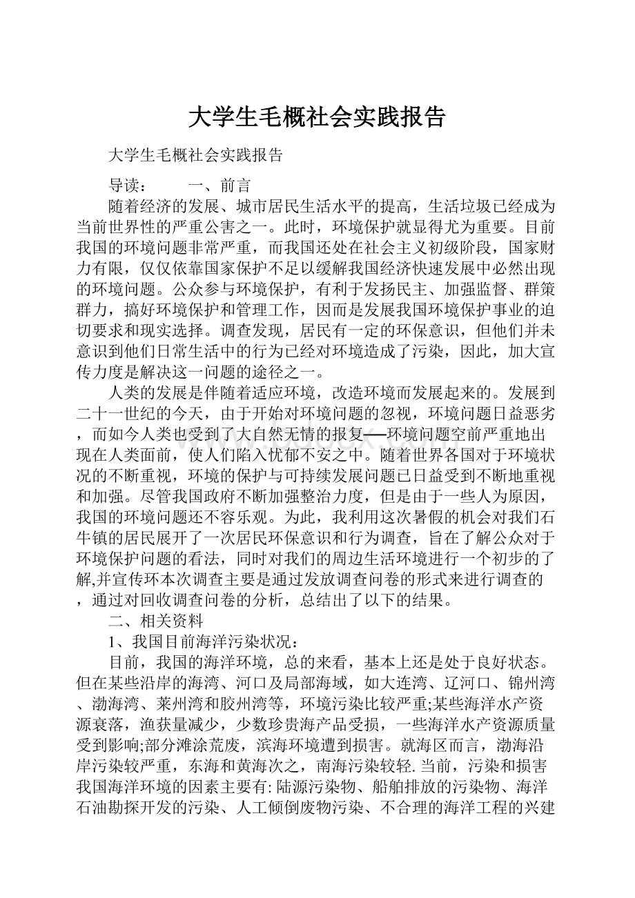 大学生毛概社会实践报告.docx