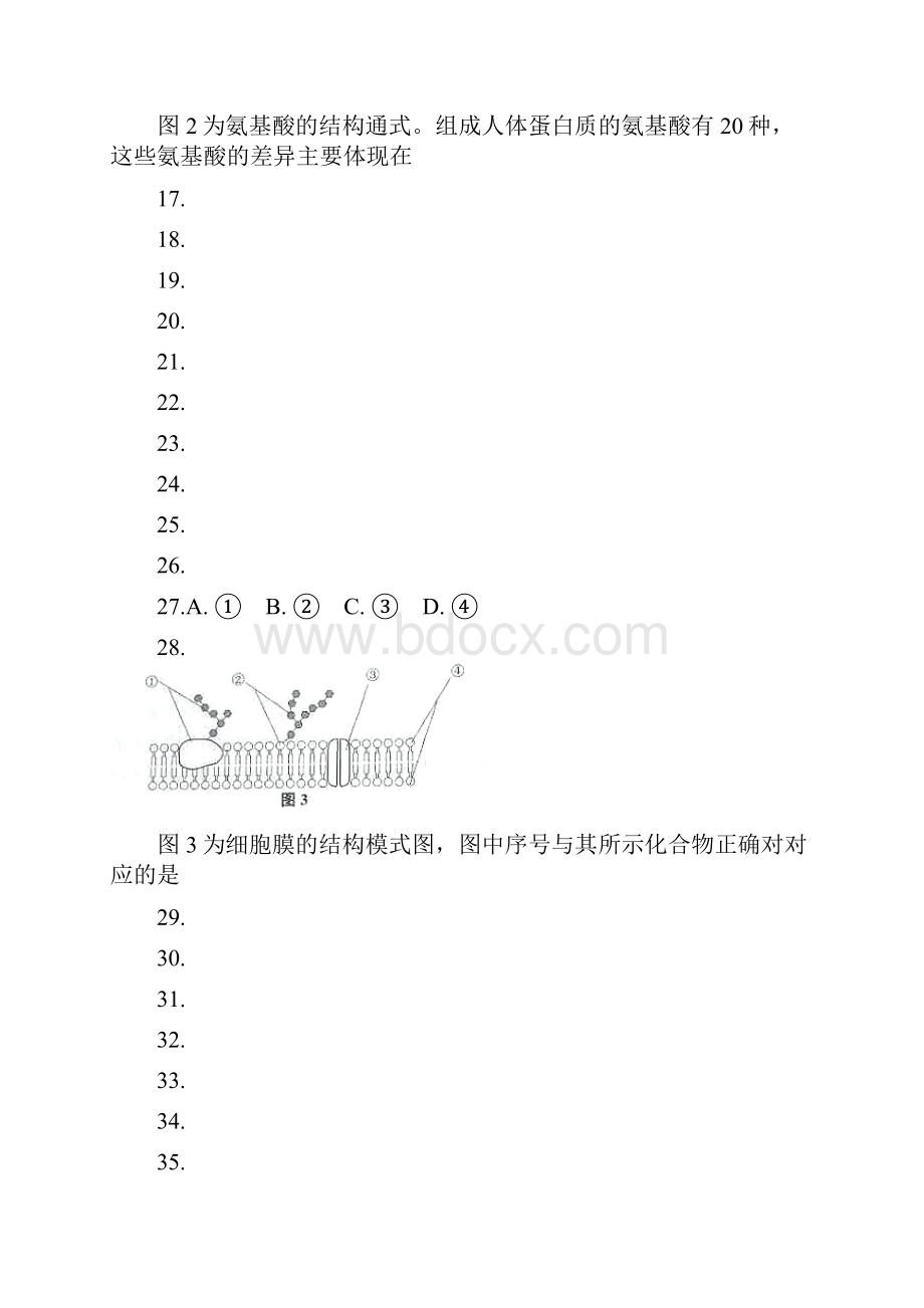 上海高中生物合格考考卷.docx_第3页