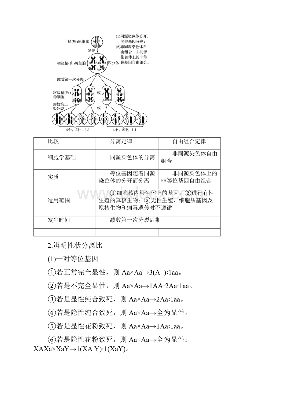 高考生物专题总复习 考前三个月 专题5 遗传的基本规律和伴性遗传 专点13 透过相关比例掌握遗.docx_第2页