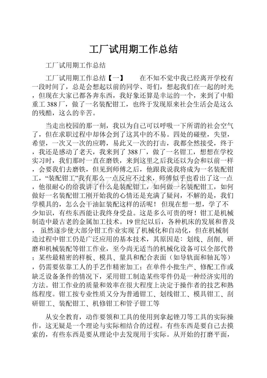 工厂试用期工作总结.docx_第1页