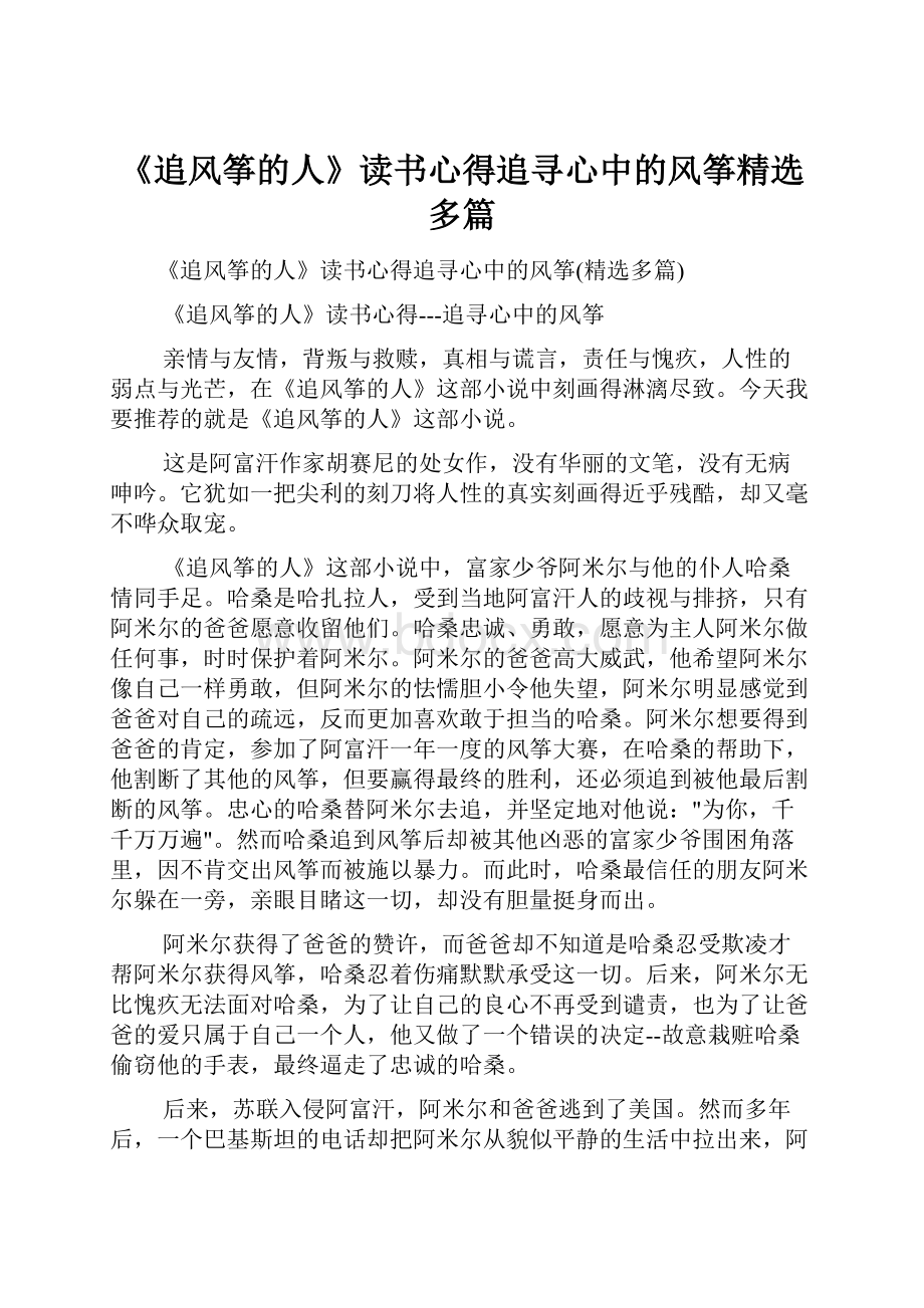 《追风筝的人》读书心得追寻心中的风筝精选多篇.docx