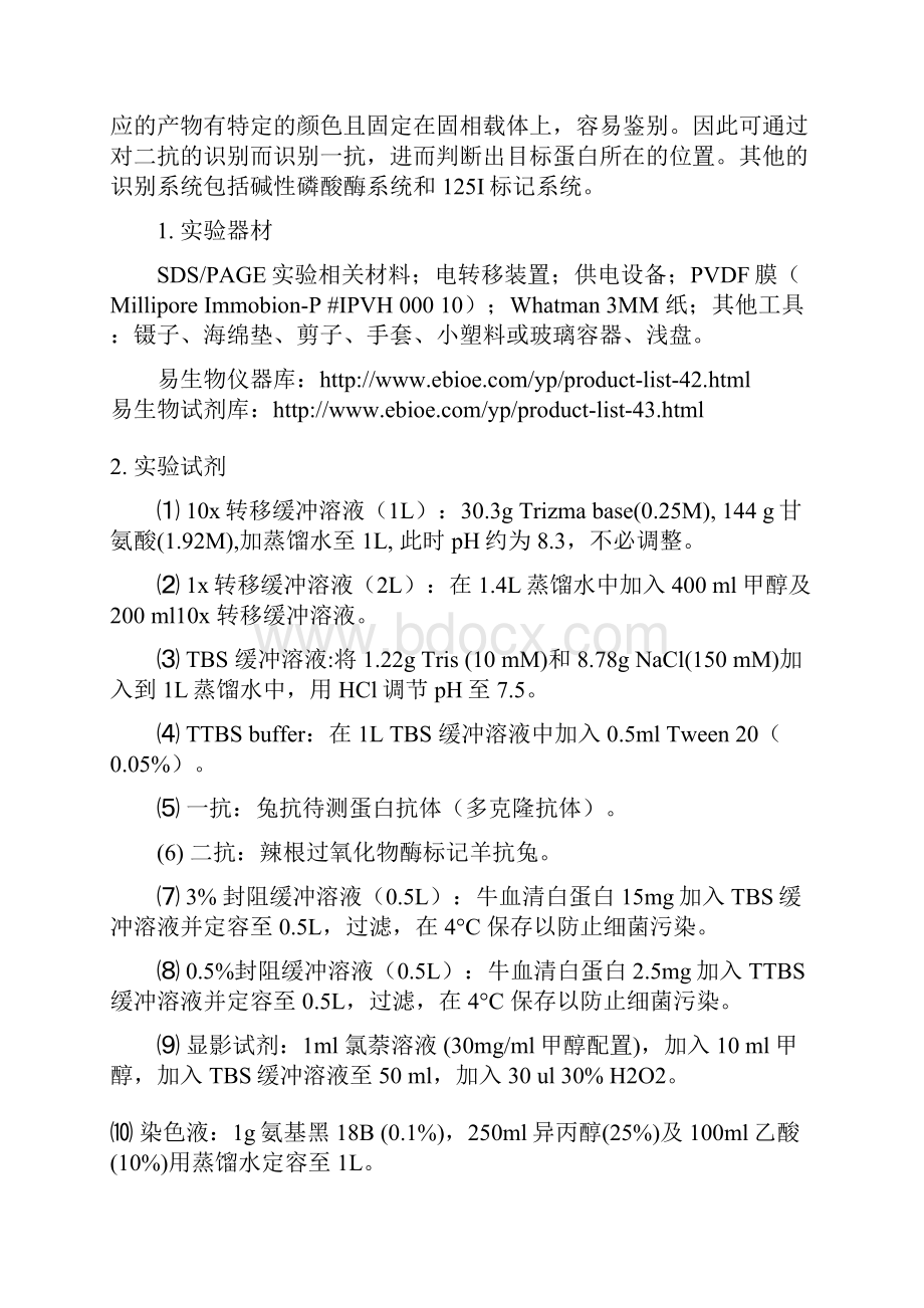 蛋白质印迹分析实验原理和操作步骤doc.docx_第3页