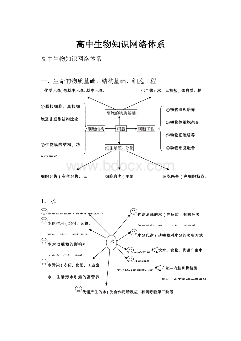 高中生物知识网络体系.docx