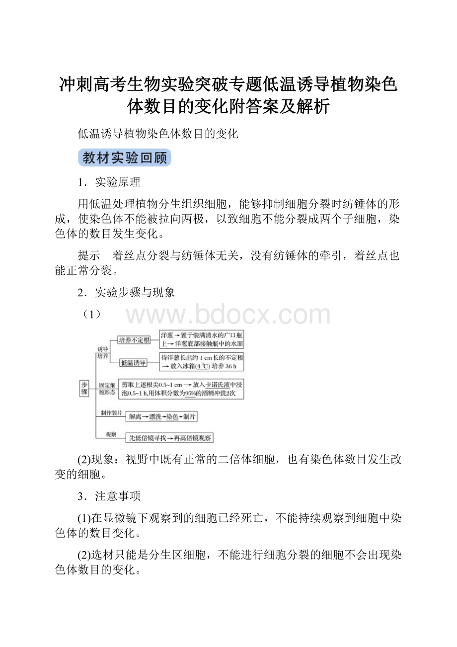 冲刺高考生物实验突破专题低温诱导植物染色体数目的变化附答案及解析.docx_第1页