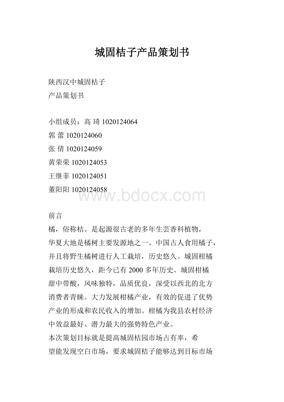 城固桔子产品策划书.docx