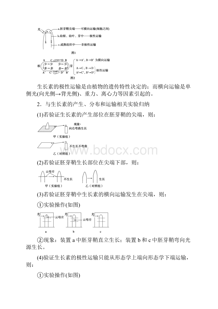 考前三个月高考生物人教通用二轮专题突破练专题10植物的激素调节.docx_第3页