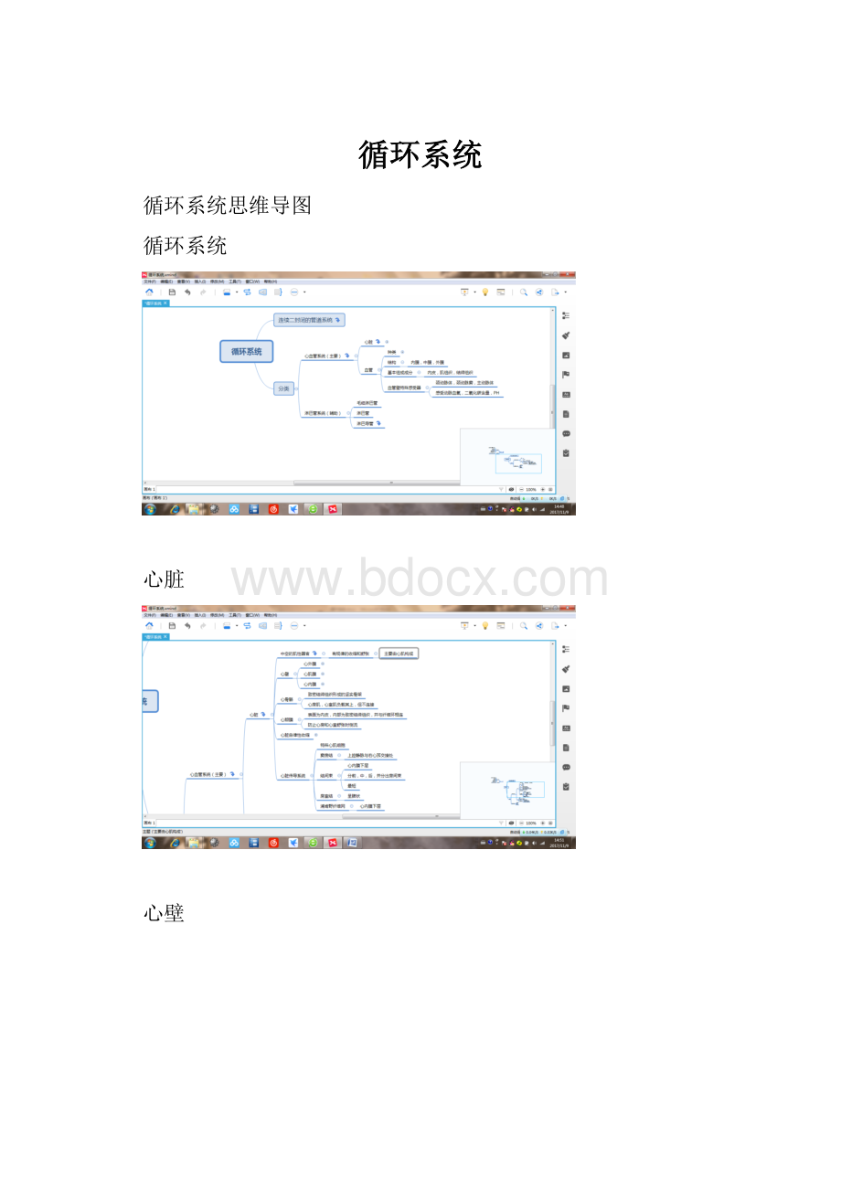 循环系统.docx_第1页