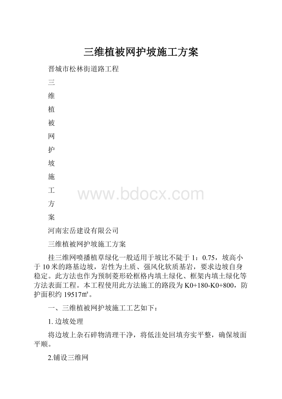 三维植被网护坡施工方案.docx