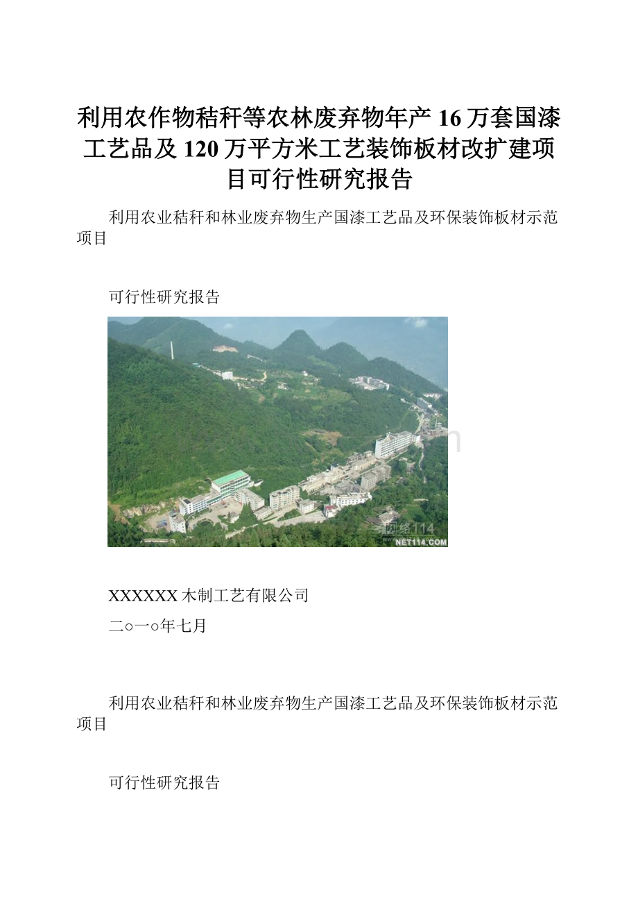 利用农作物秸秆等农林废弃物年产16万套国漆工艺品及120万平方米工艺装饰板材改扩建项目可行性研究报告.docx_第1页