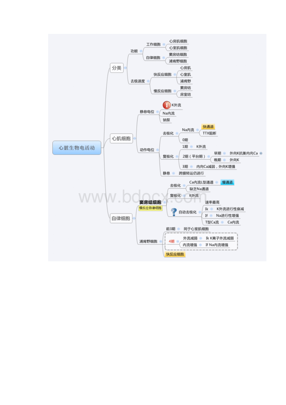 生理学思维导图.docx_第2页