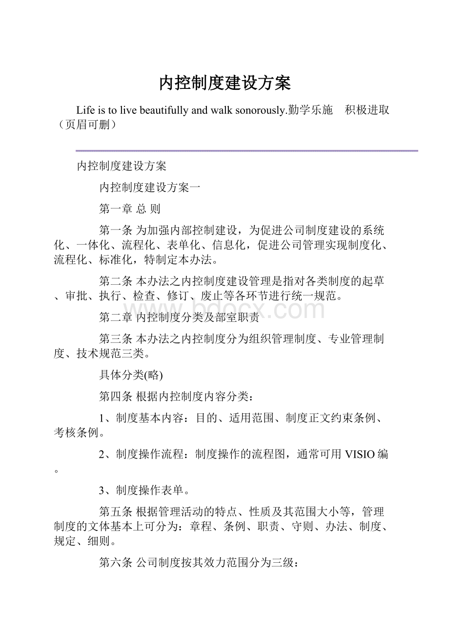 内控制度建设方案.docx