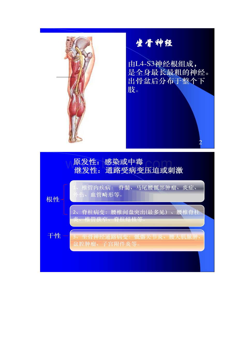 5 周围神经病.docx_第2页