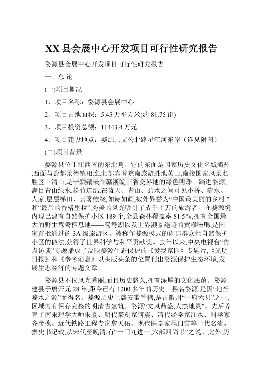 XX县会展中心开发项目可行性研究报告.docx_第1页