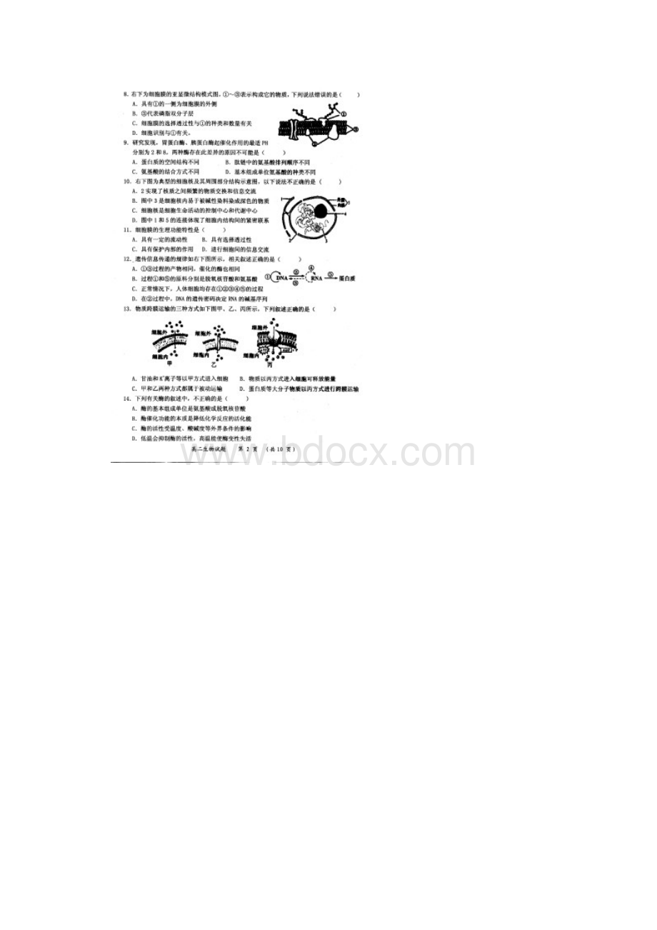 福建省三明市B片区高中联盟校学年高二上学期阶段性测试生物试题 扫描版含答案.docx_第2页