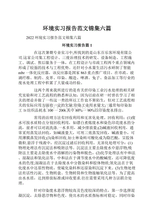 环境实习报告范文锦集六篇.docx