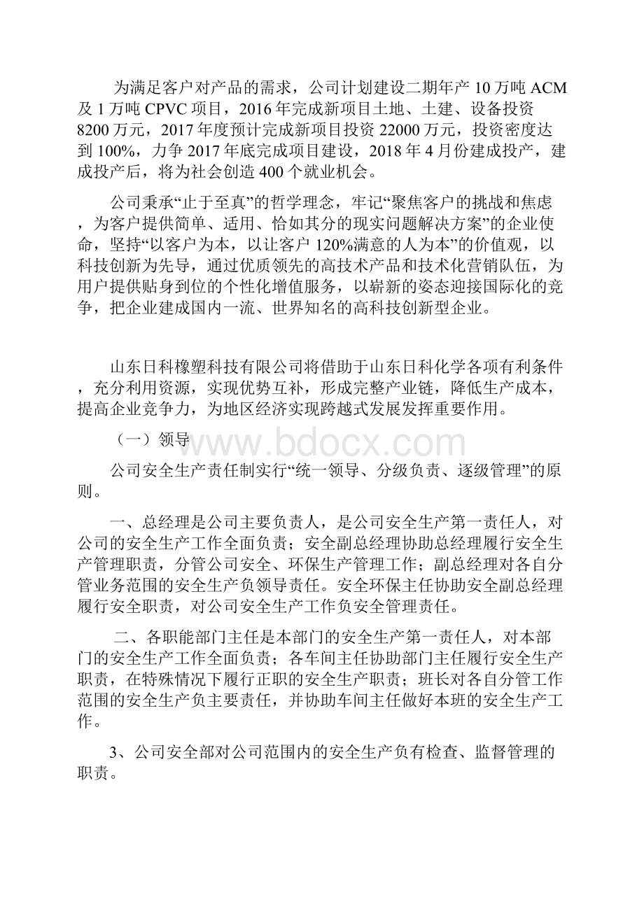 卓越绩效自评报告.docx_第2页