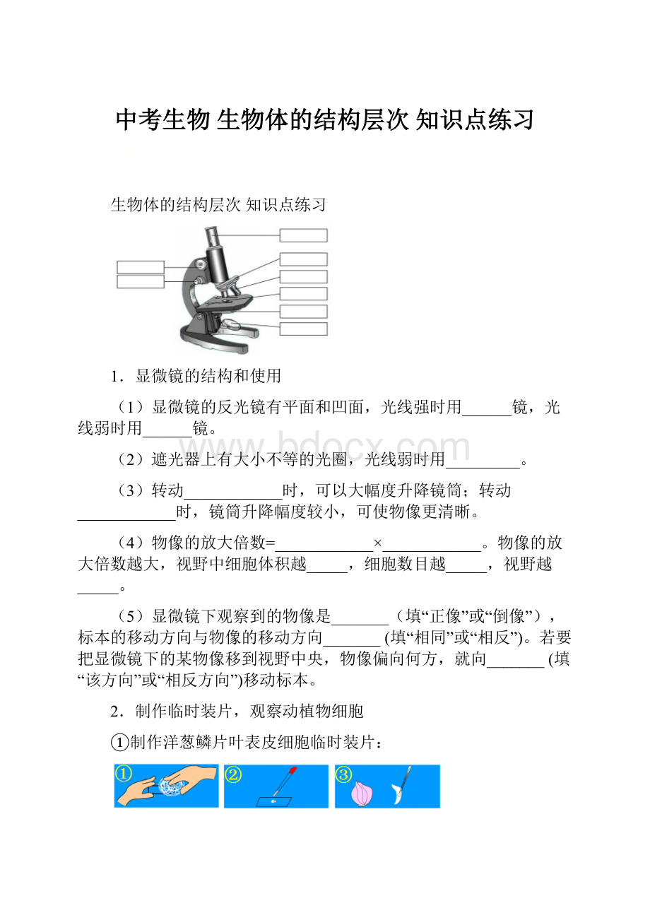 中考生物 生物体的结构层次 知识点练习.docx