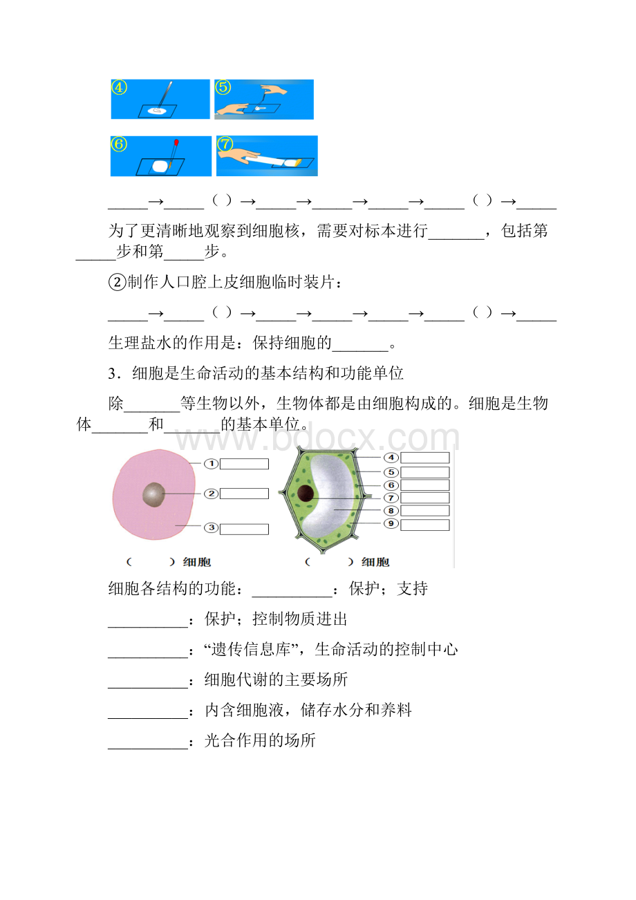 中考生物 生物体的结构层次 知识点练习.docx_第2页