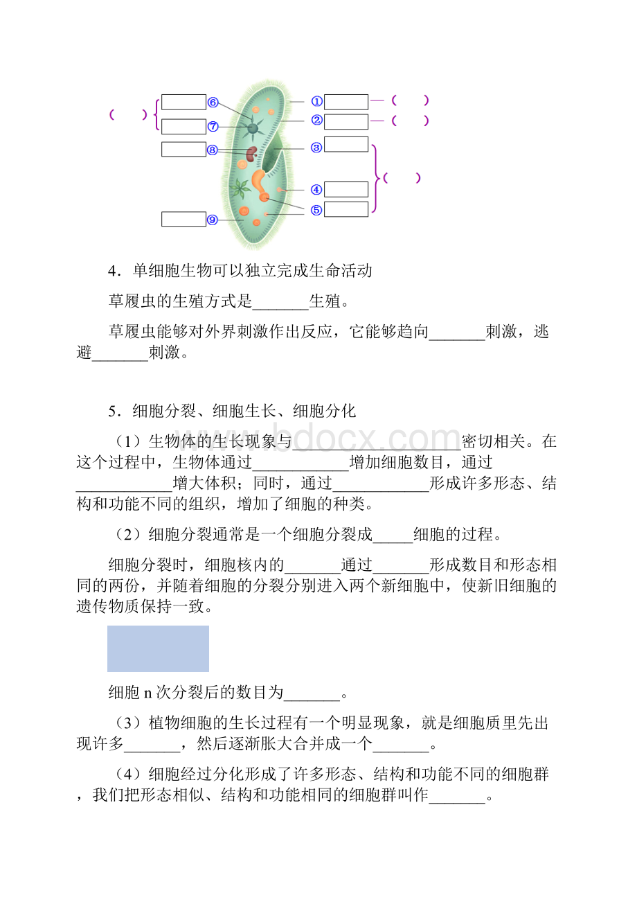 中考生物 生物体的结构层次 知识点练习.docx_第3页