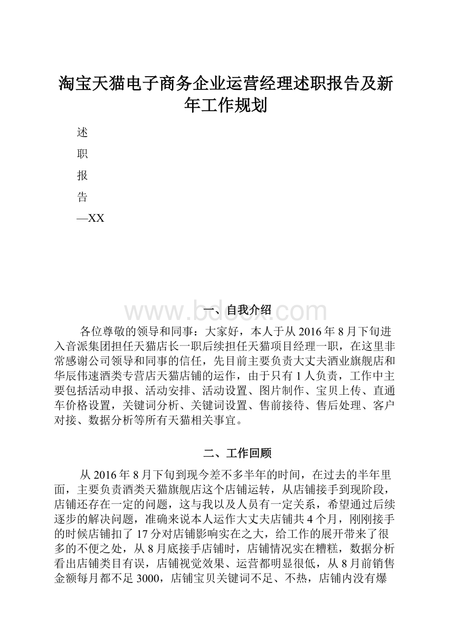 淘宝天猫电子商务企业运营经理述职报告及新年工作规划.docx