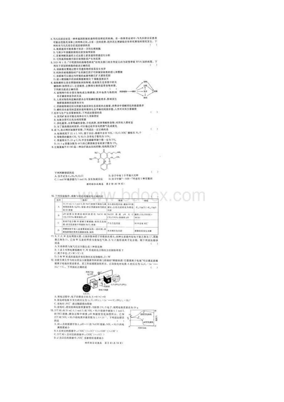 广东省化州市高考第四次模拟考试理科综合试题及答案.docx_第2页