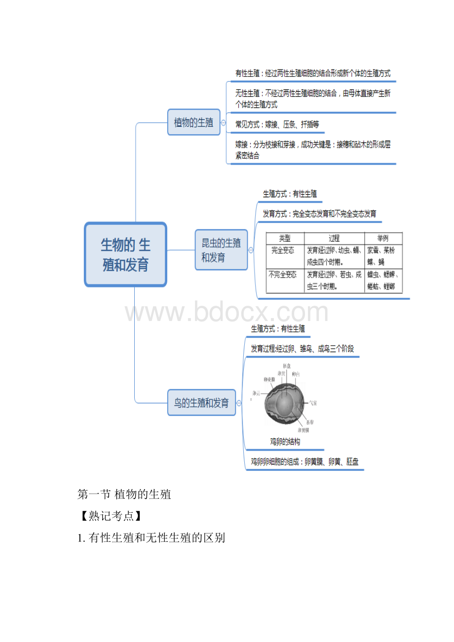 八年级生物中考复习考点归纳提升记忆专项训练.docx_第2页