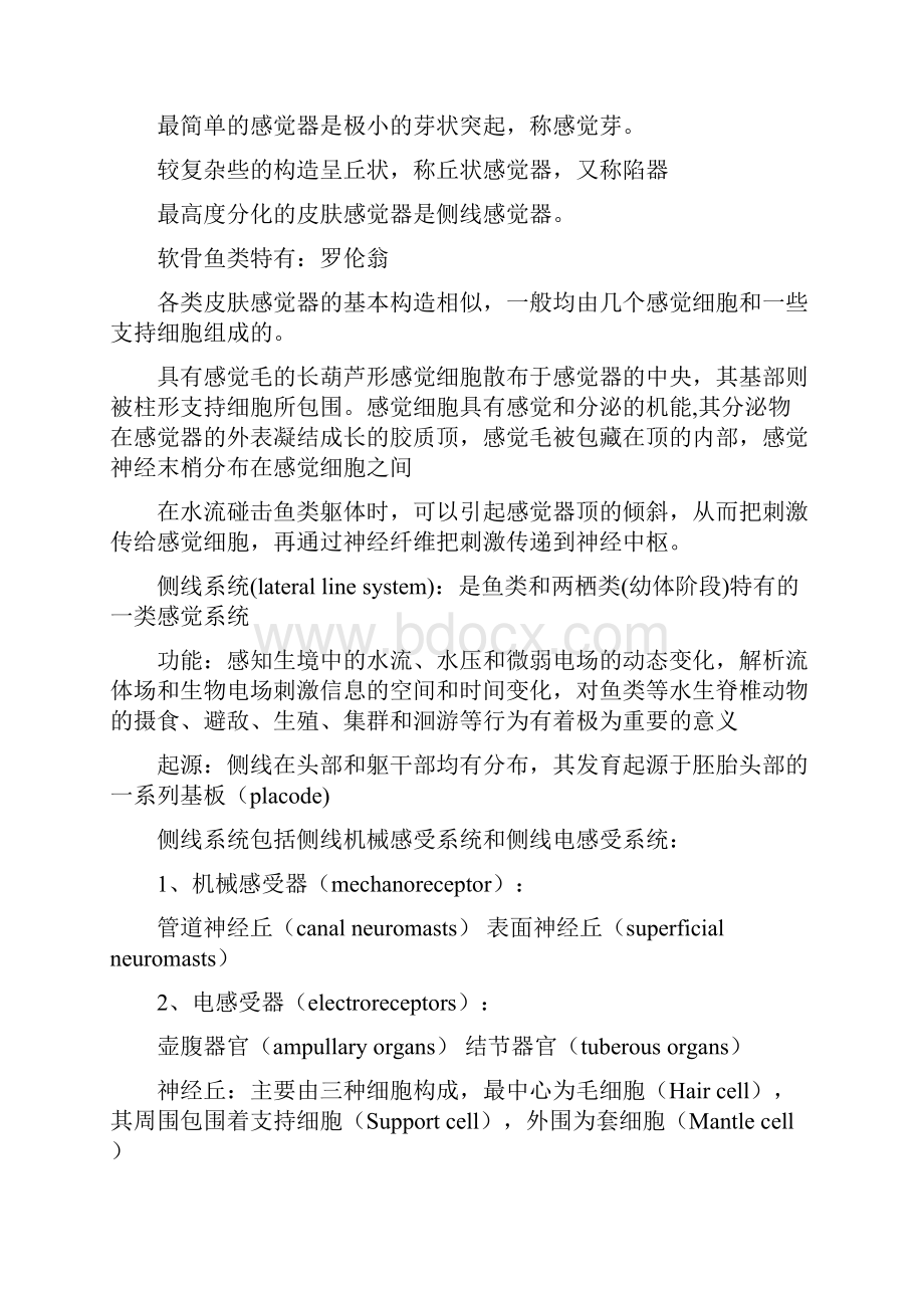 鱼类行为学.docx_第3页