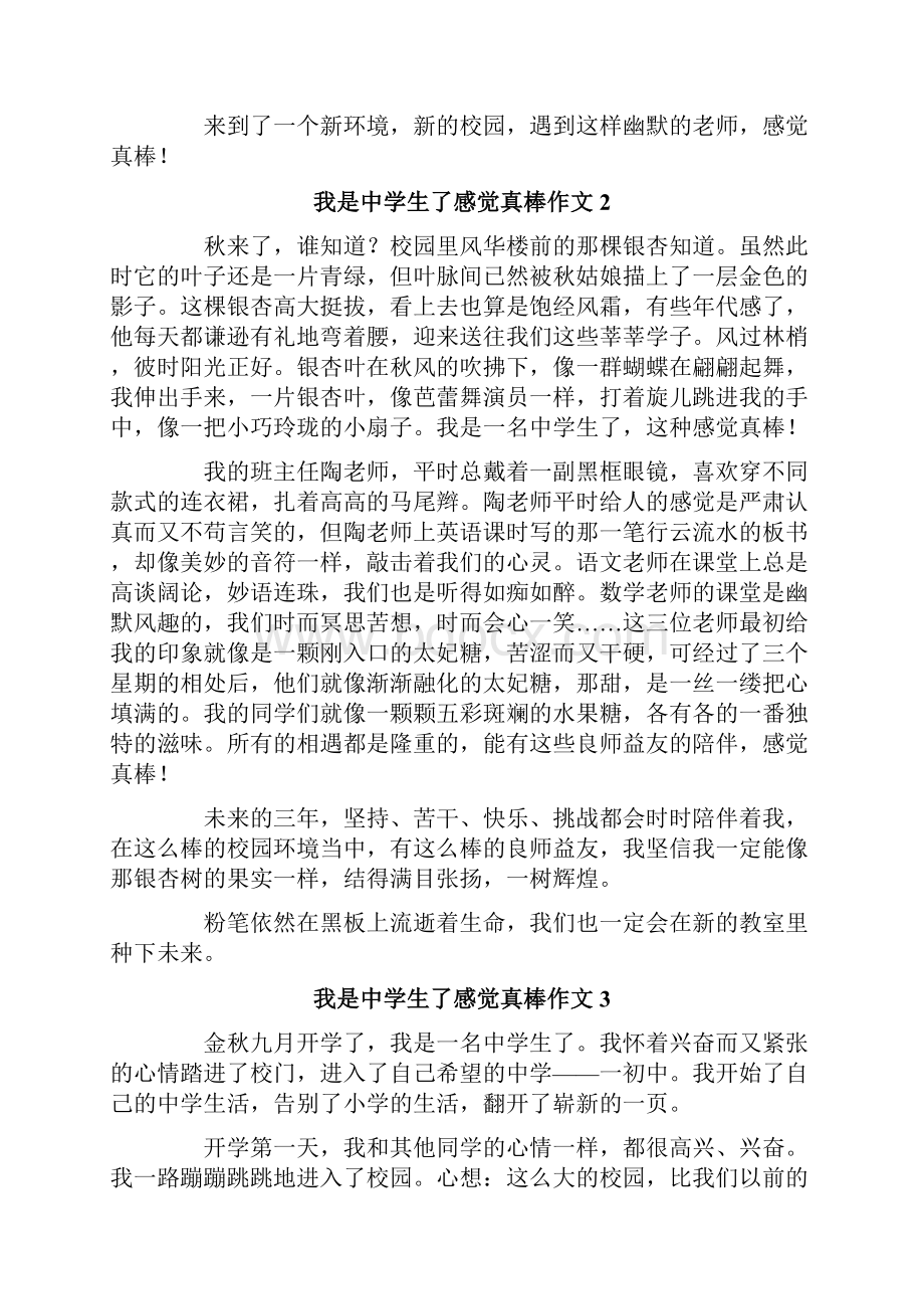 我是中学生了感觉真棒作文.docx_第2页