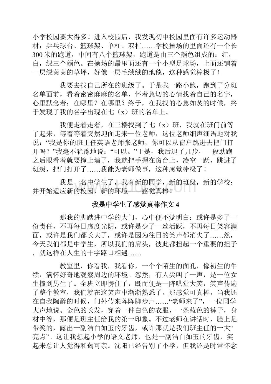 我是中学生了感觉真棒作文.docx_第3页