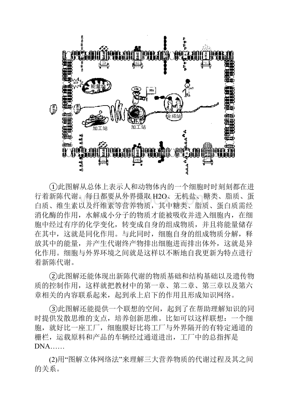 高三生物二轮复习 人和动物体内三大营养物质的代谢教案 人教版.docx_第2页