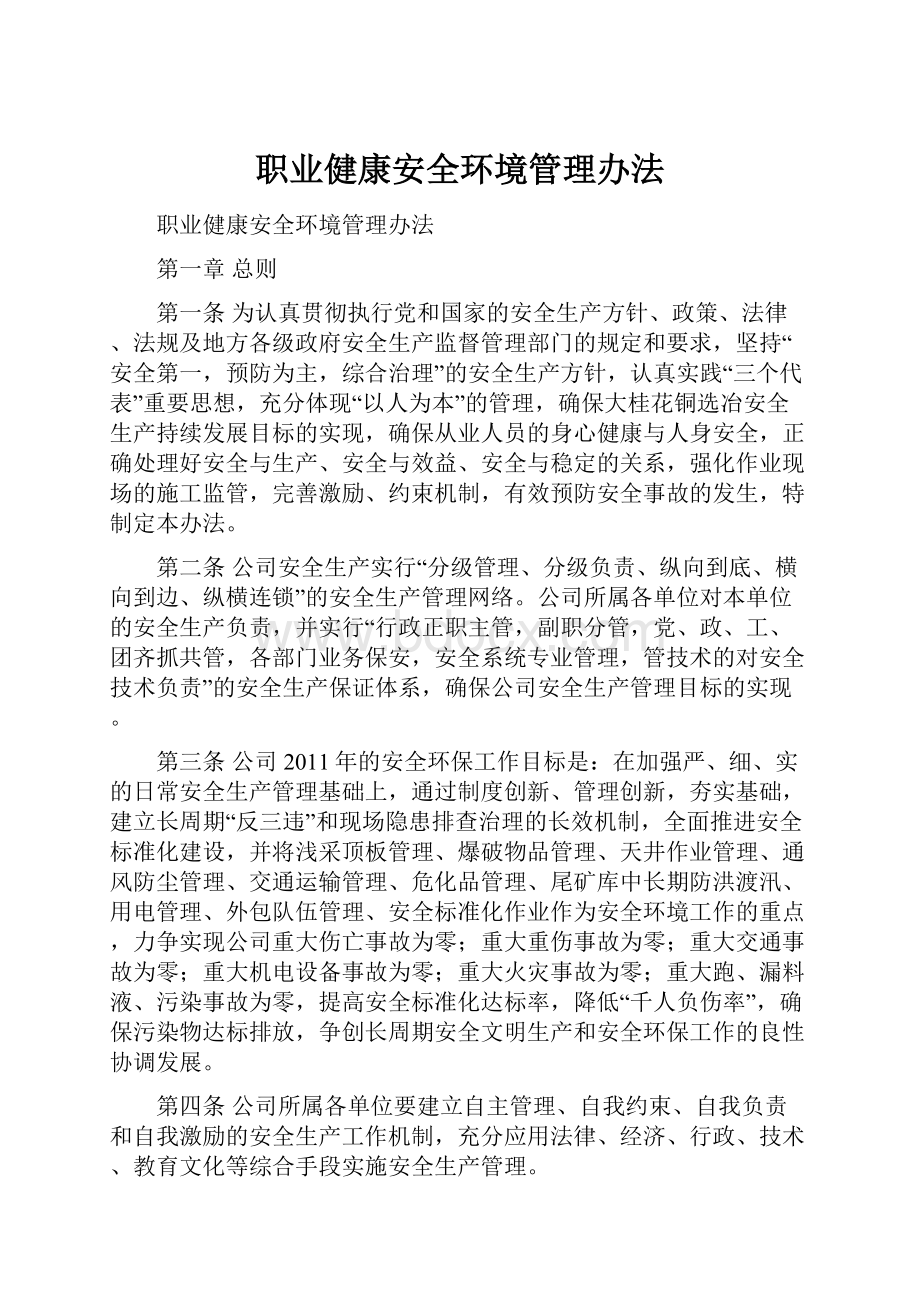 职业健康安全环境管理办法.docx