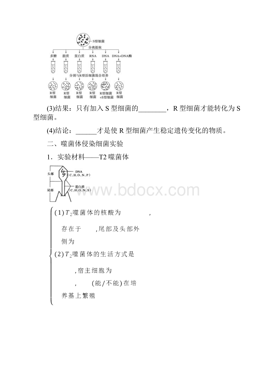 第六单元 遗传的物质基础.docx_第2页