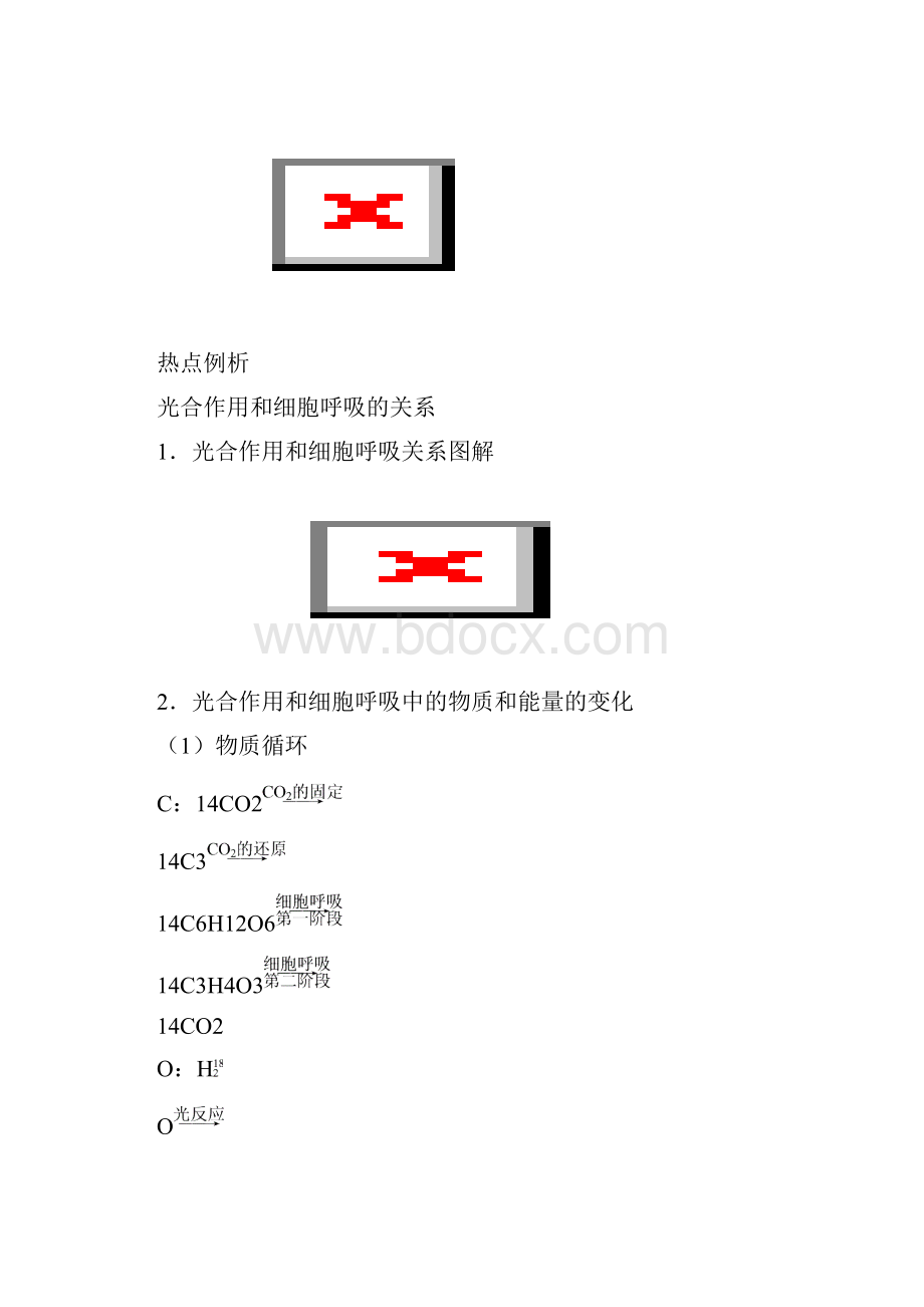 高中生物复习专题二细胞代谢.docx_第2页