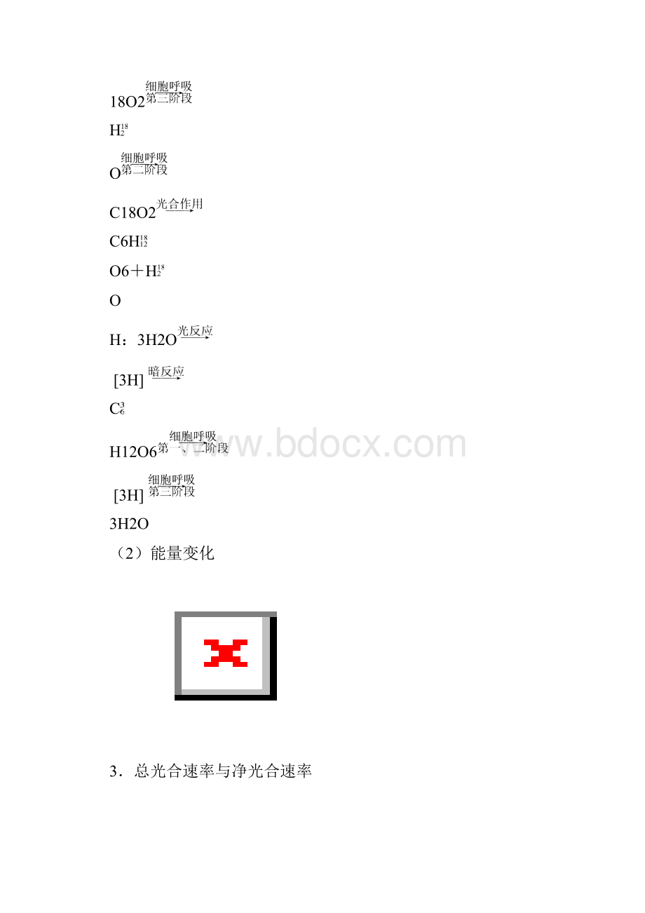 高中生物复习专题二细胞代谢.docx_第3页