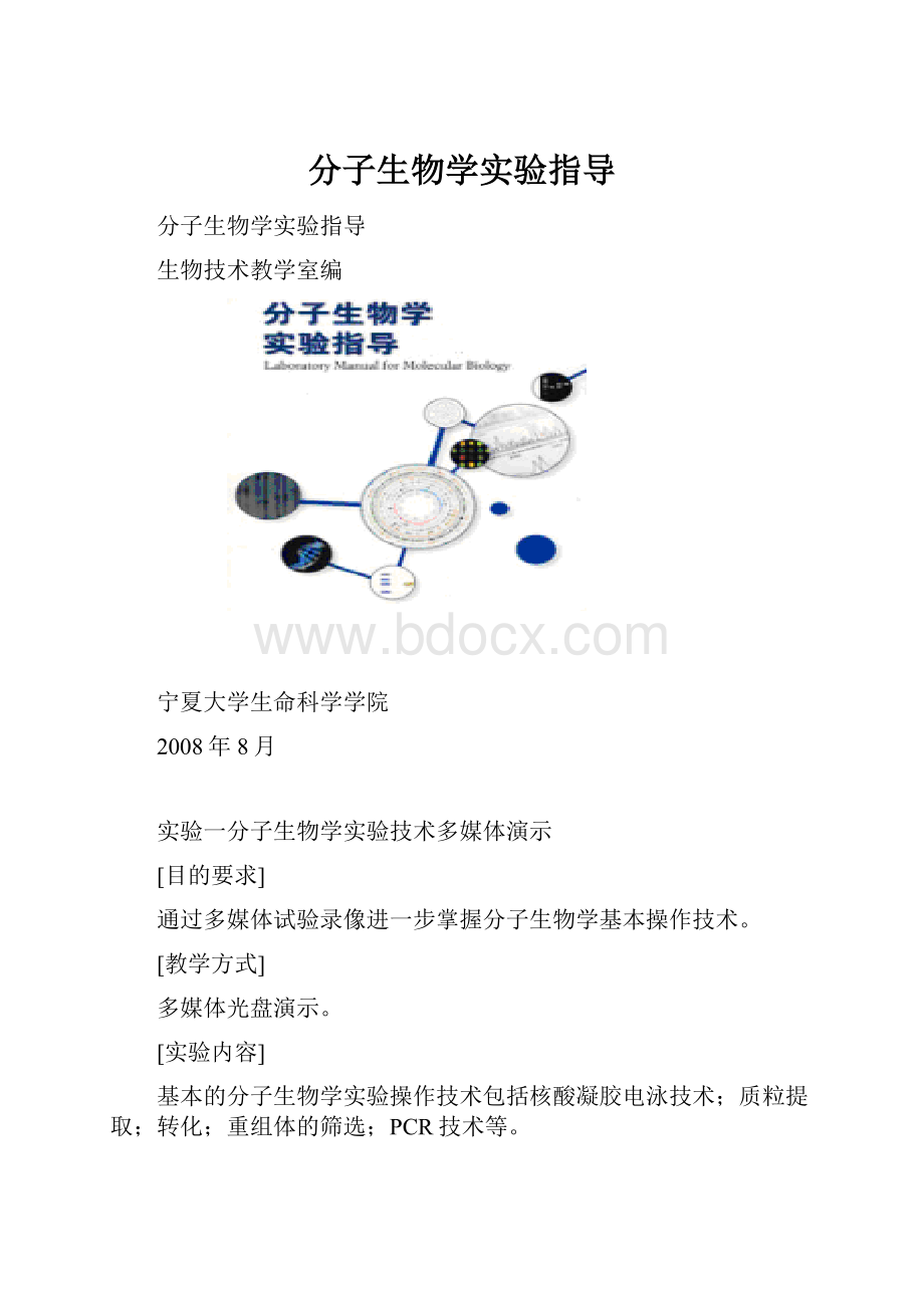 分子生物学实验指导.docx_第1页