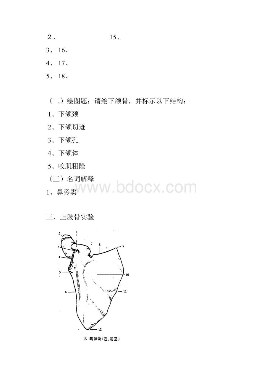 系统解剖学试验报告.docx_第3页