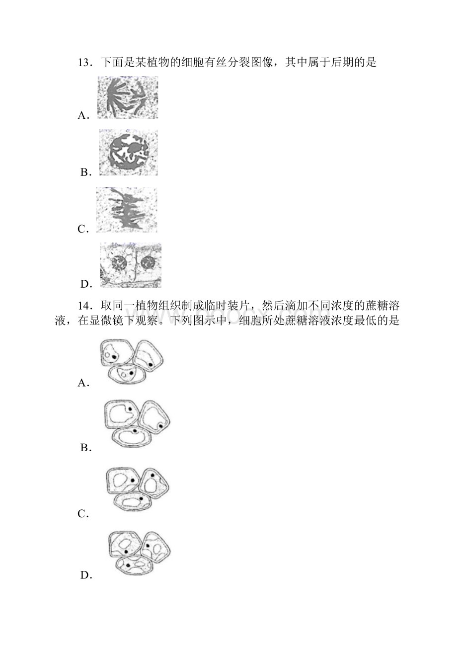 北京市延庆区最新高一上学期期末生物试题.docx_第3页